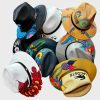 Hand Painted Fedora Hats