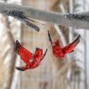 Red Cardinal Ornament with Charm
