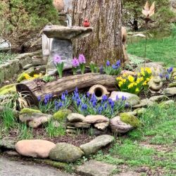 Garden Shop